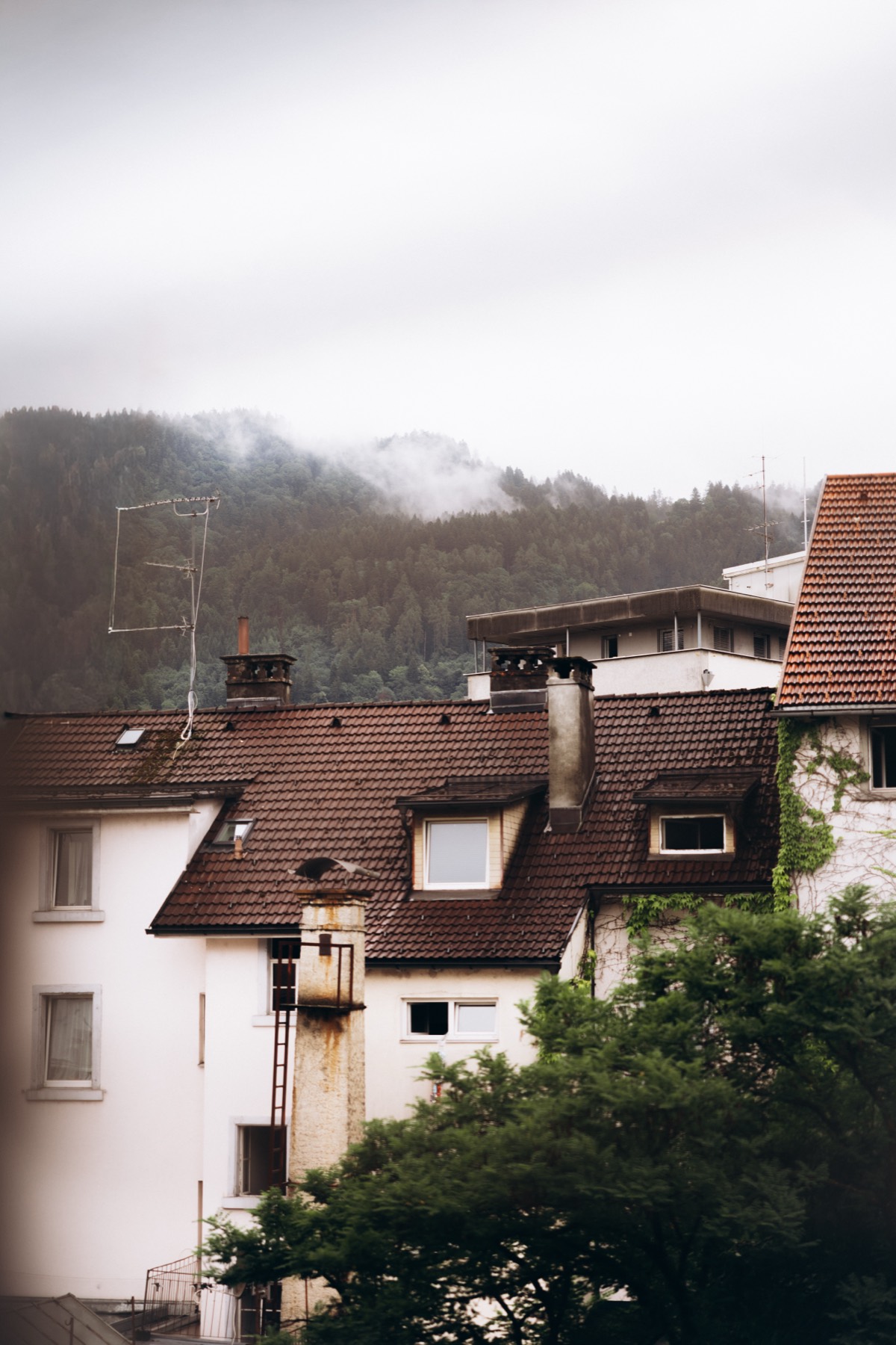 Blick über die Dächer von Bregenz Richtung Pfänder